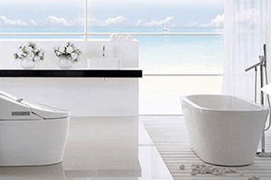 衛浴行業倉（cāng）儲解決方案