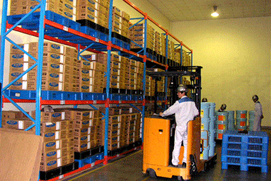 中型倉儲貨(huò)架